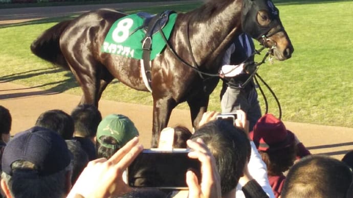 🐴きょうのおうまさん(21/3/7) 🐴弥生賞ディープインパクト記念・飛燕賞