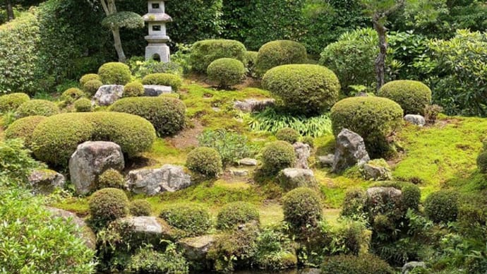 素晴らしい庭を堪能しました　三千院　大原　京都