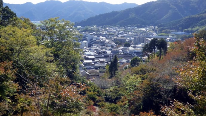 2024最上山もみじ紅葉最新情報 ①