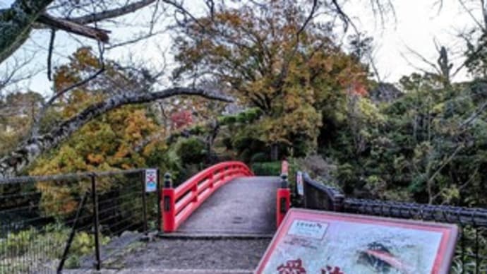 【水間公園 / 水間寺】『早朝ウォーキング』［2023/12/1］“紅葉狩り” 貝塚市