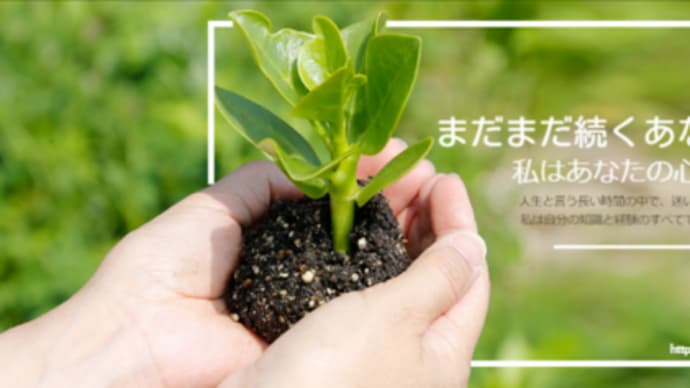 知的障害者だから働けない?みんなが働ける社会は来ないの?