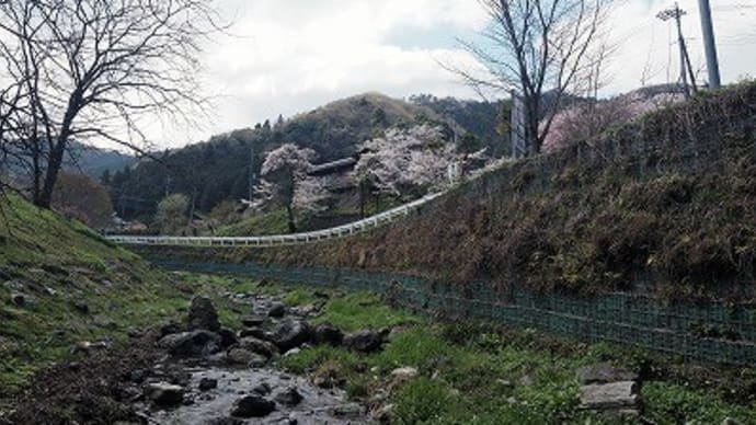 「春の風布川」事前調査