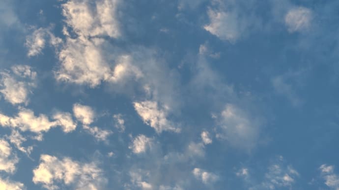 秋の日はつるべ落とし♪