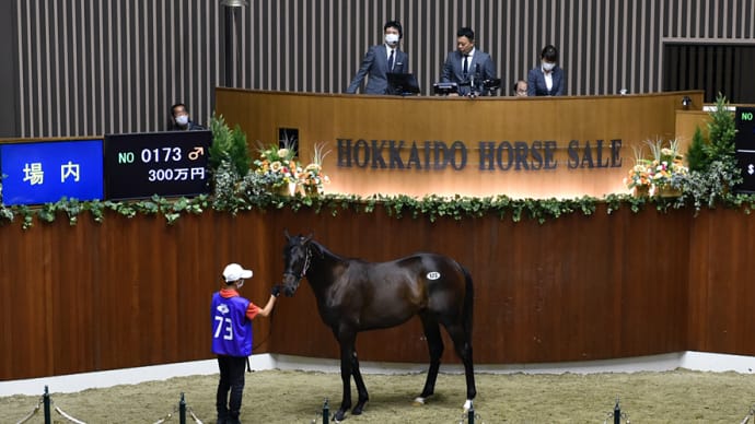 サマーセール出身馬【ヒーローコール(Hero Call)】が「報知オールスターC(4歳上重賞)」を優勝