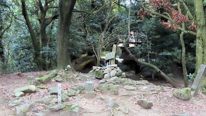 四王子山の紅葉 1