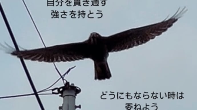 〜マヤ暦 K118 白い鏡・白い鏡・音1〜「黄色い戦士」は「黄色い戦士」と知る前から「黄色い戦士」だった