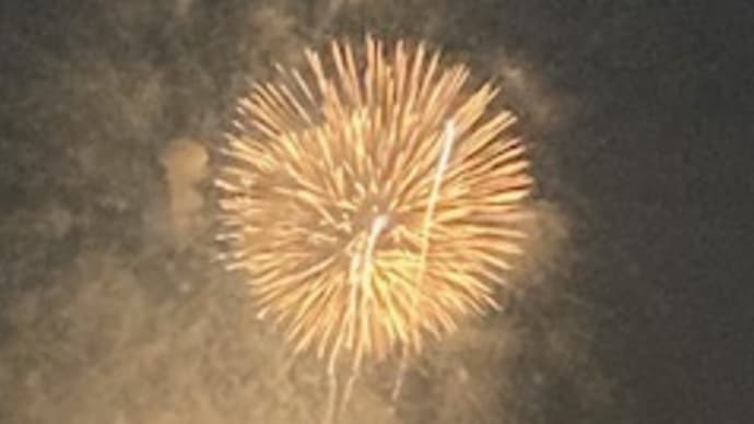 日の経つのが早い!
