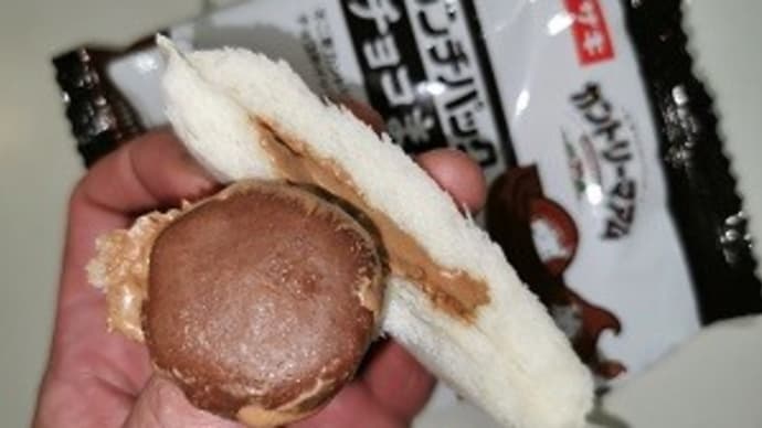 ランチパック チョコまみれ入れちゃいました