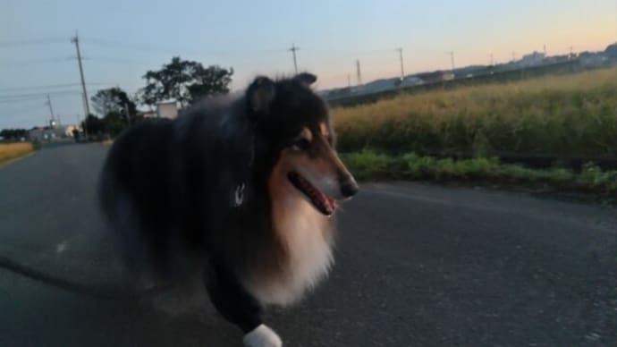 リー助、シャンプーされました!
