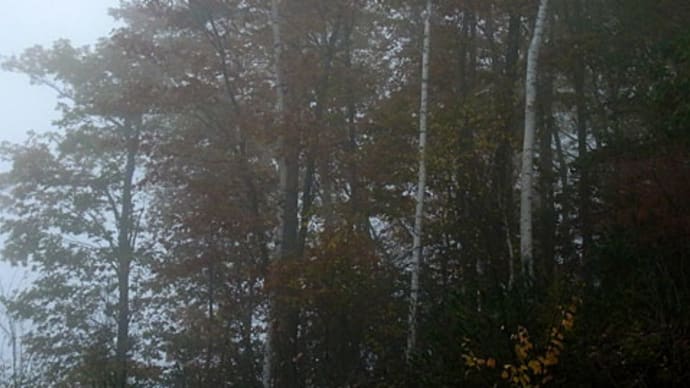 紅葉狩り、雨の通仙峡