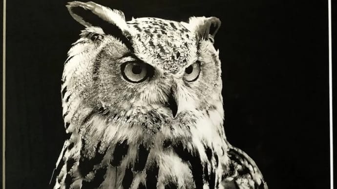 ◆「守内近良 切り絵展」