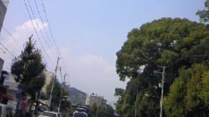 昨日、7月28日の風景