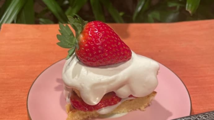 【真っ赤なイチゴ🍓ふんわりショートケーキ】✨