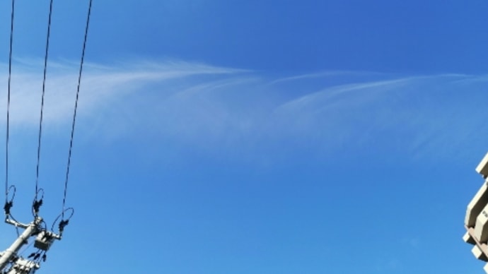 空を見上げる子ども