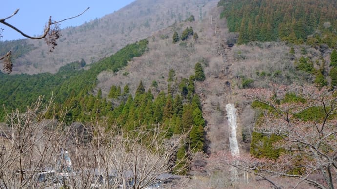 大分別府、鶴見岳に参りました!!