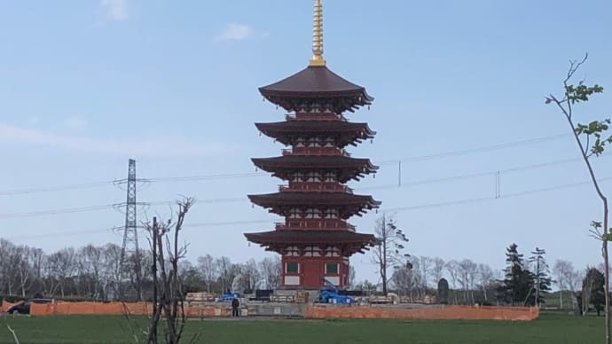 お墓🪦お参り、、、。