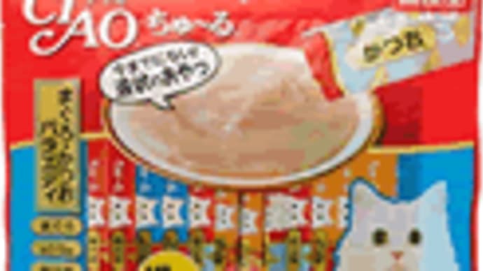 自宅警備隊長→にわか大工