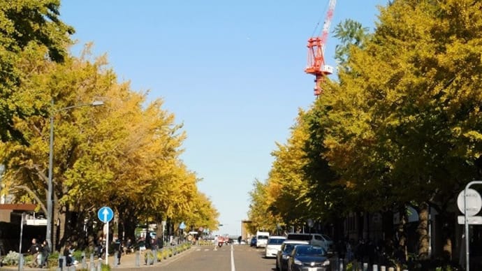 #6887 日本大通りで秋を感じて