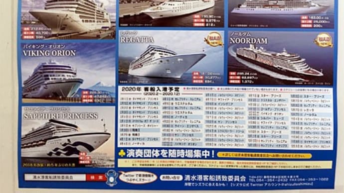 人気のクルーズ船旅と感染症