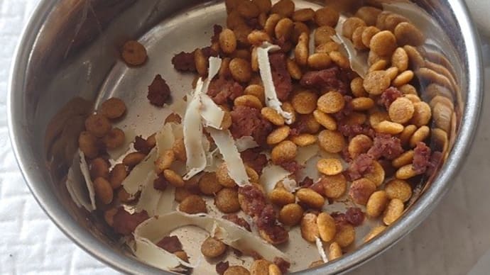チャロ君、ウェットフードは食べる◎
