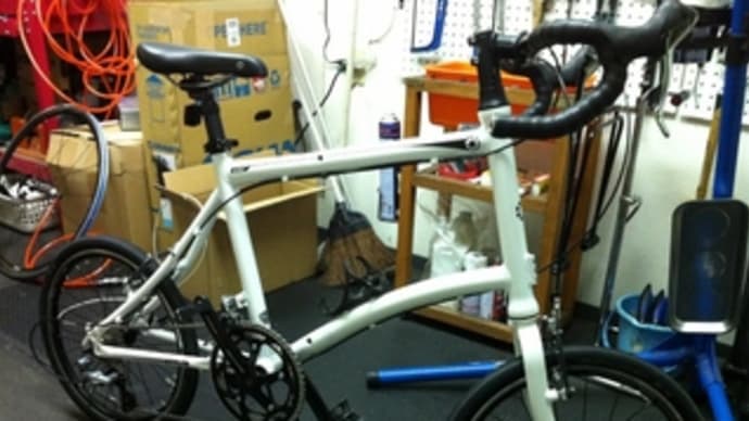 DAHON DASH P18 DropH Ver