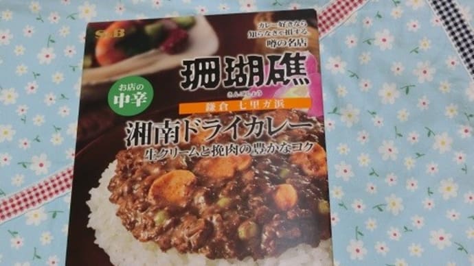湘南ドライカレー
