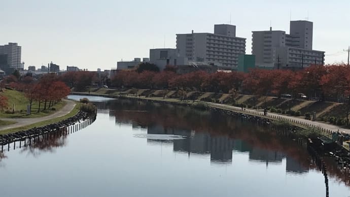 荒川河口コース 20/11/15