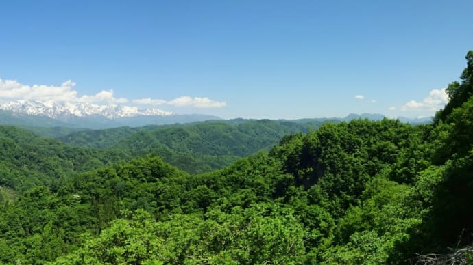 峰街道◆目には青葉 山ほととぎす 初鰹 (2)