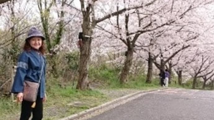 今年の桜はセ・シ・ボン♥️