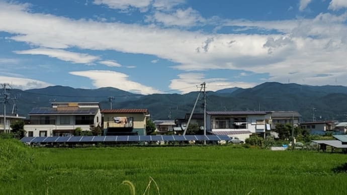地球の腸活続き~実ってきましたよ~~