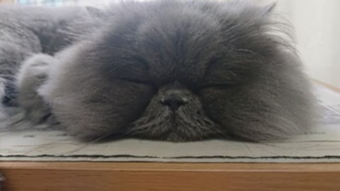 明けまして、おめでとうございます ^^) _旦~~