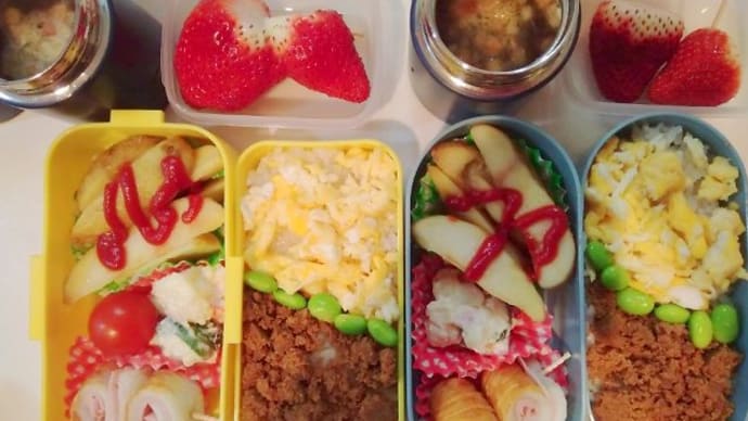 次男、三女お弁当(三食そぼろお弁当)1/24