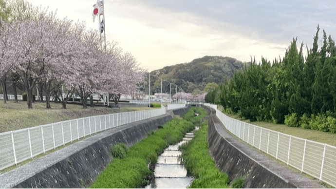 池子川白濁未だ原因不明