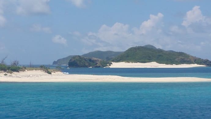 サンゴの海 座間味島(慶良間諸島)