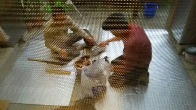 父の誕生日会