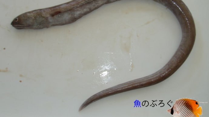 「NAVERまとめ」終了について思うこと