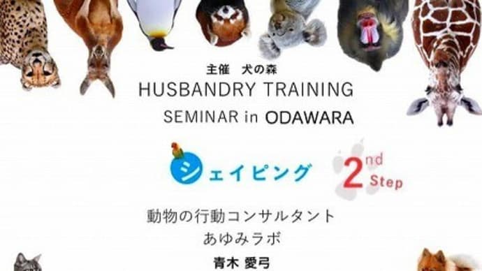 青木愛弓先生のシェイピングセミナー