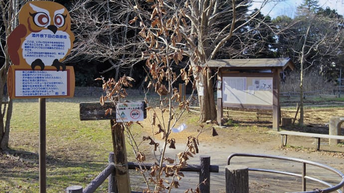 柏の里山 下田の杜 写真展を観る