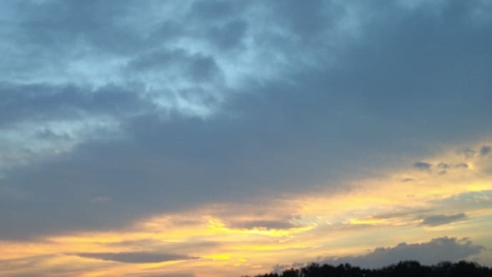 今日も高温多湿で、へとへとそして、色々な物が高い、こんにちそしてホンダのNSXタイプSかぁ