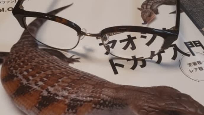 中近両用メガネ👓作りました。