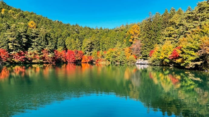 山神社について行ったら、紅葉が見られた日🍁