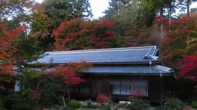 百済寺 喜見院のプロジェクションマッピング