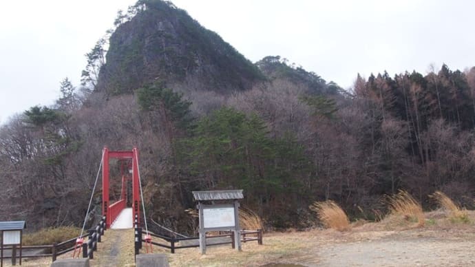 傾城森