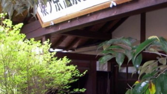 みたび うかがう 群馬 湯宿温泉ひとり旅 2009
