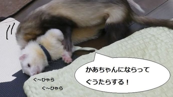 真似しなくてもええんやけど(*´Д`)