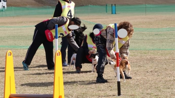 JKC西日本ブロックフライボール競技会・チーム戦