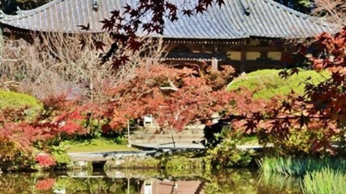 山の辺の道に佇む花のお寺を訪ねる！・・・長岳寺