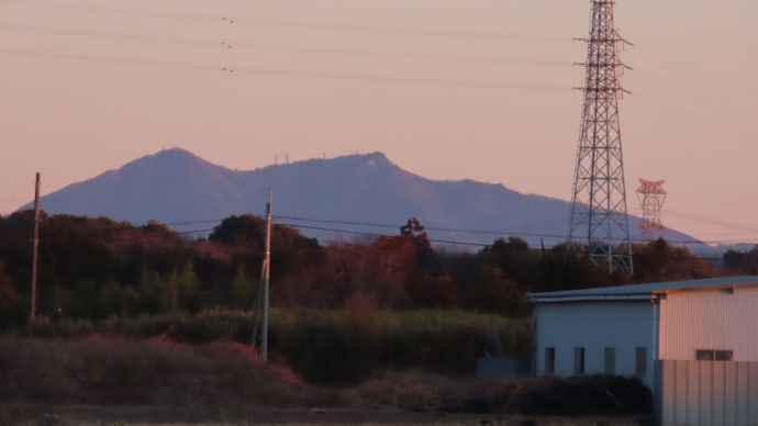 温床本格稼働開始