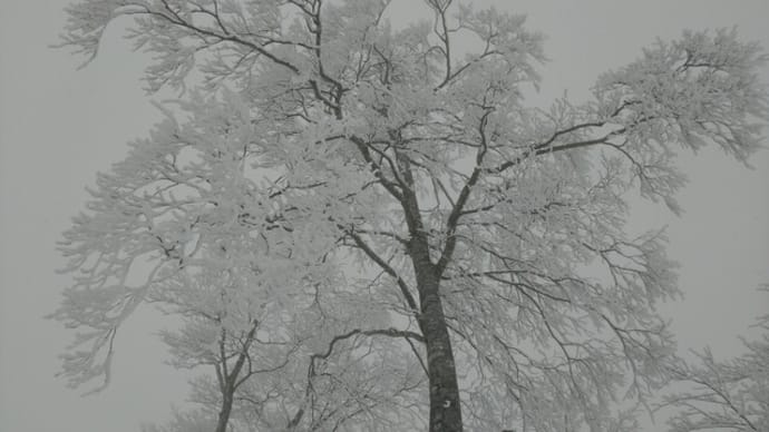 雪板破損