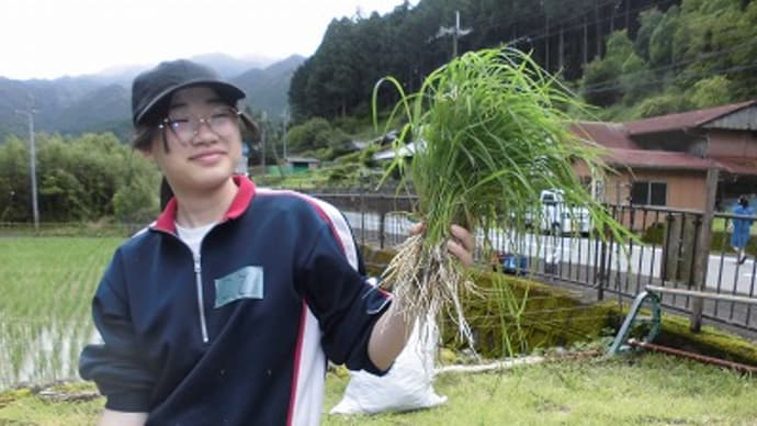第2回除草作業終わりました!